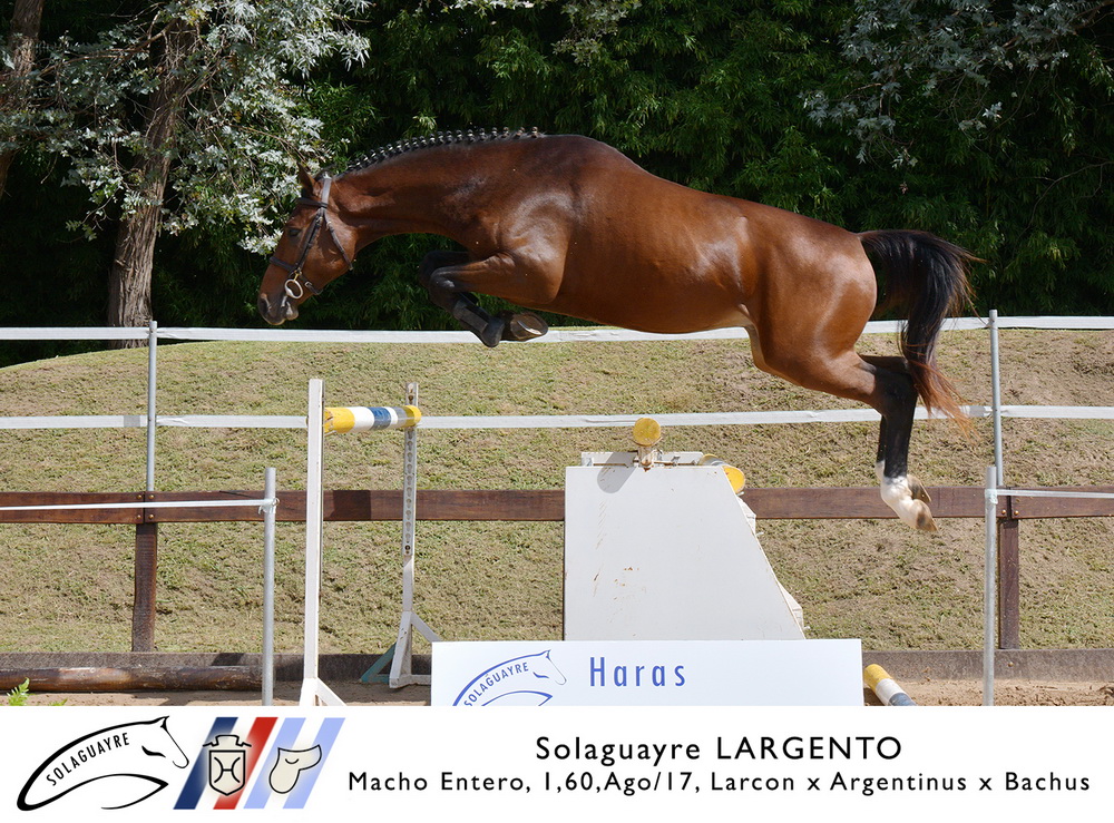 SOLAGUAYRE LARGENTO